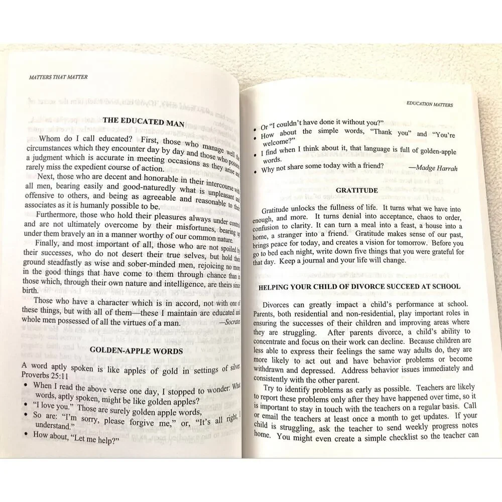 Matters That Matter Book 500 Essays Volume II Daniel Taddeo Vintage 2007
